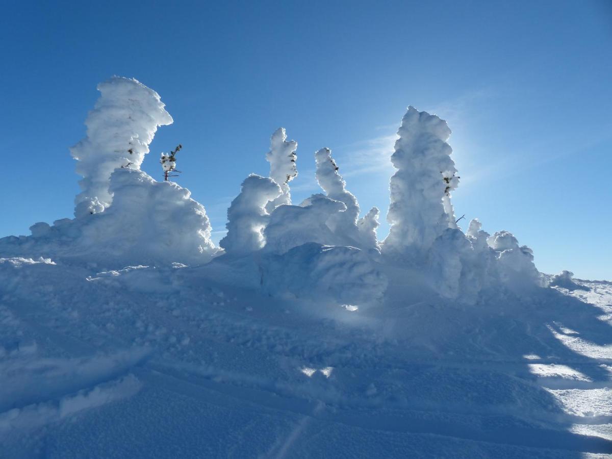 Chateau Big White Esterno foto